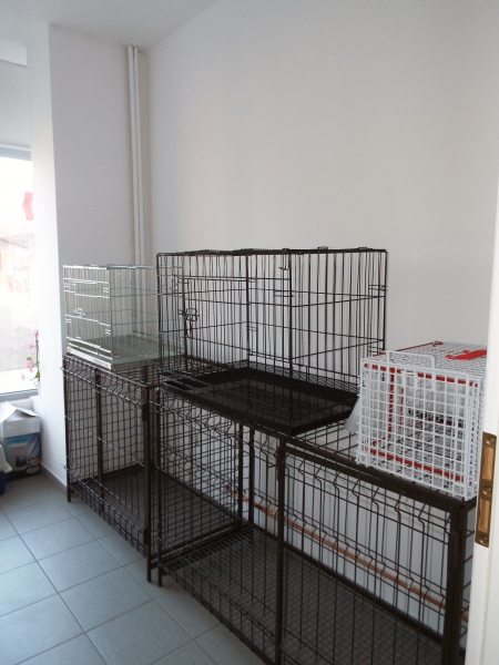 Cabinet veterinar Dailvet Profesional